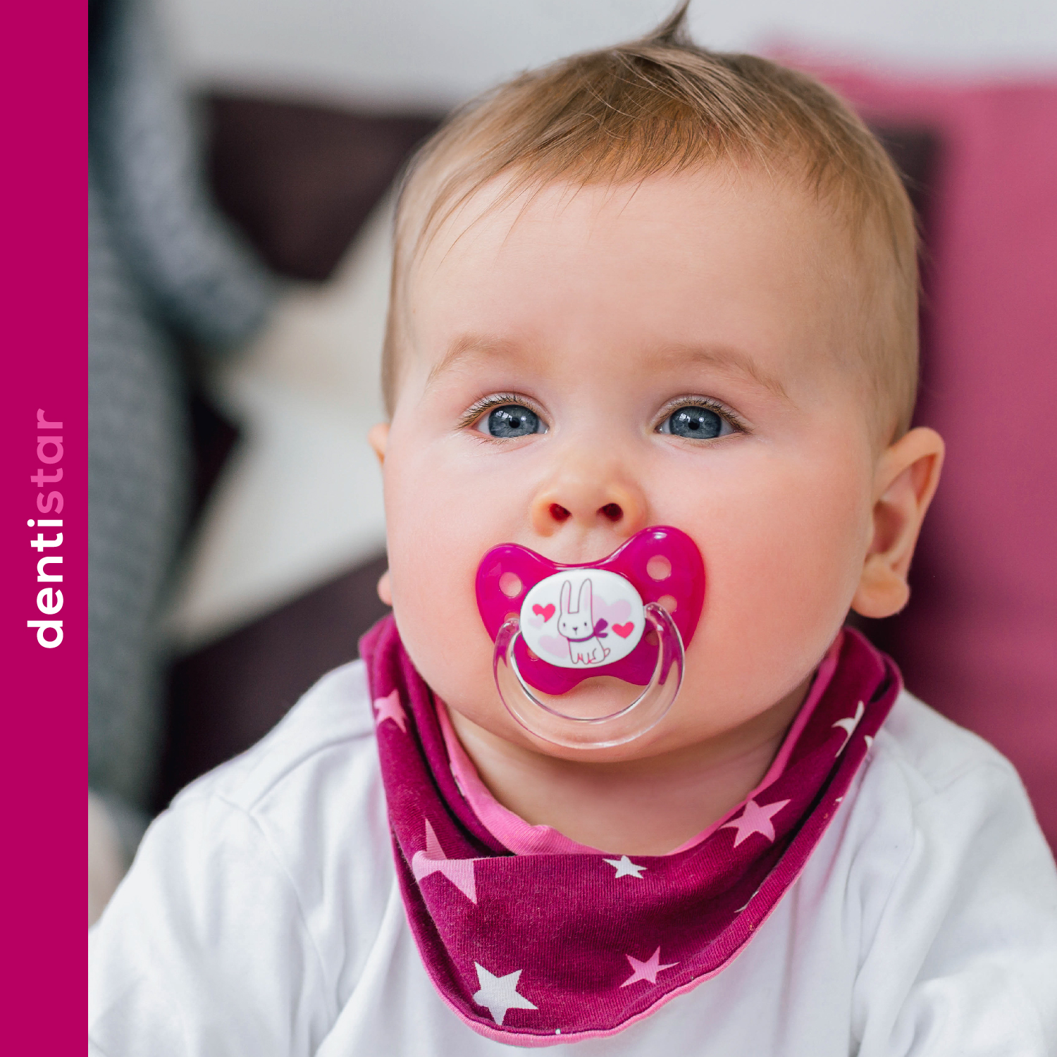 Flat Shield Schnuller Bus Gr. 2 