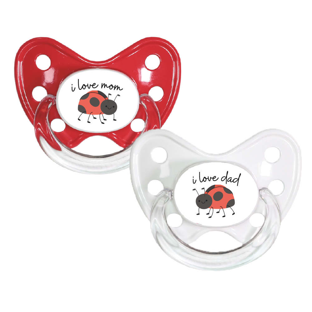 Ladybug pacifier set  